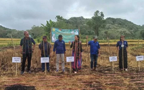 Petani NTT Sambut Baik Ekosistem Budidaya Kedelai NasDem