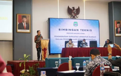 Dirjen Bina Keuda Kemendagri Jelaskan Manfaat SIPD