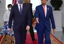 Presiden Jokowi Terima Kunjungan Kehormatan Menlu Serbia