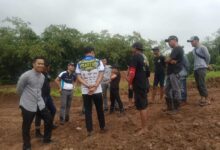 Cek Sirkuit Grasstrack Champipmship 2022, Ketua Gapensi Lebak Disambut Warga