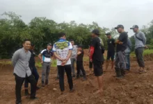 Cek Sirkuit Grasstrack Champipmship 2022, Ketua Gapensi Lebak Disambut Warga