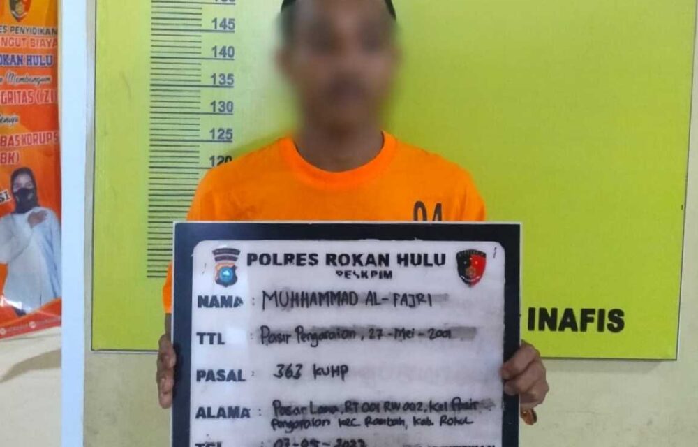 Tim Resmob Sat Reskrim Polres Rohul Bekuk Dpo Curat
