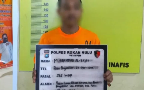 Tim Resmob Sat Reskrim Polres Rohul Bekuk DPO Curat