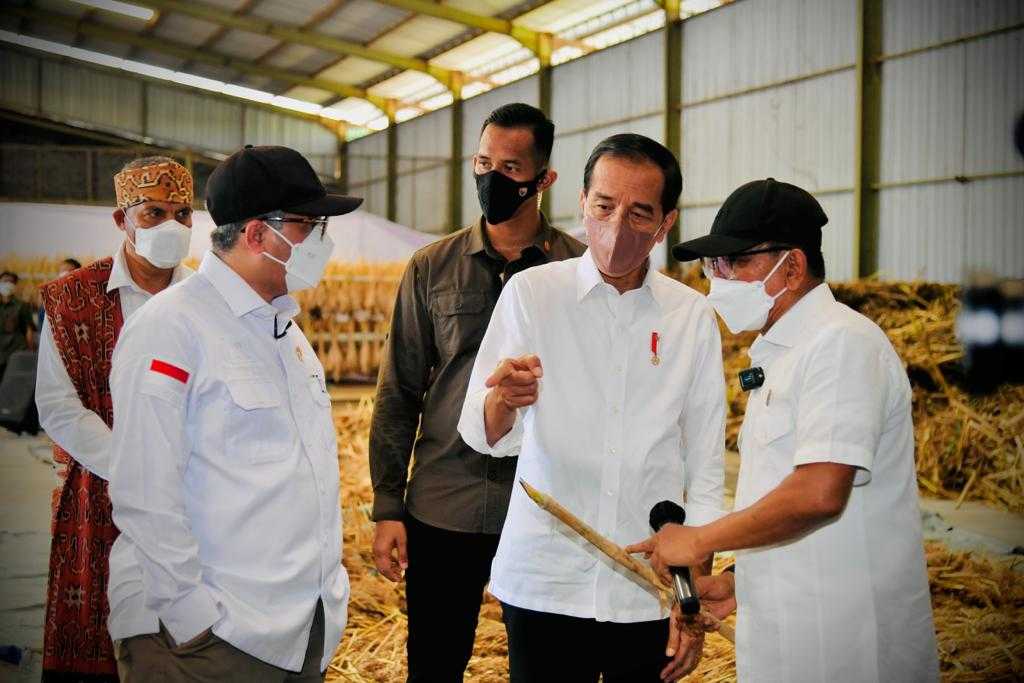 Antisipasi Krisis Pangan Global, Presiden: Sorgum Alternatif Bahan Pangan