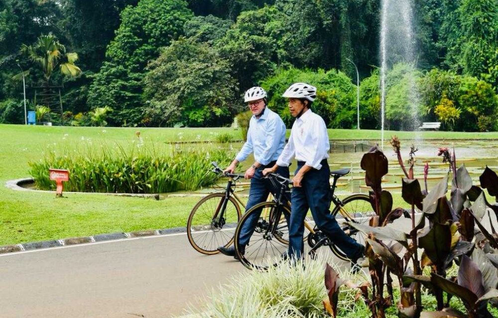 Diplomasi Sepeda Bambu Ala Presiden Jokowi