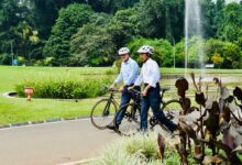 Diplomasi Sepeda Bambu Ala Presiden Jokowi