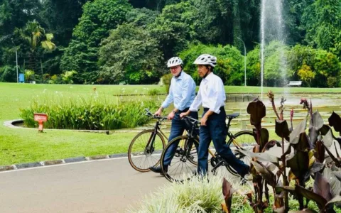 Diplomasi Sepeda Bambu ala Presiden Jokowi