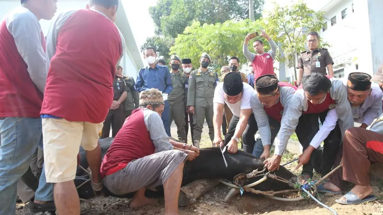 LUAR BIASA…PJPT Salurkan Daging Kurban ke Masyarakat