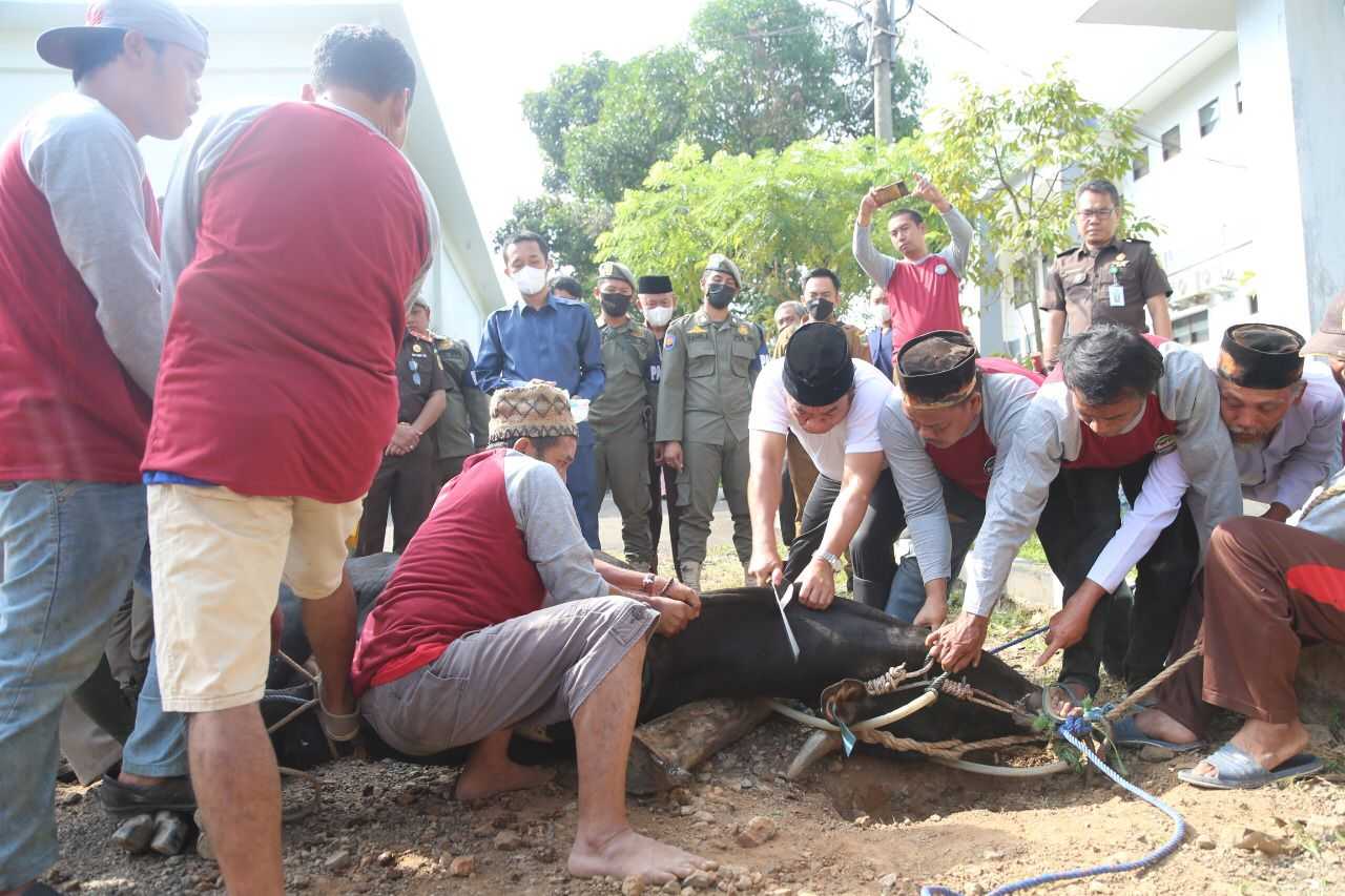 Luar Biasa...!Pjpt Salurkan Daging Kurban Ke Masyarakat