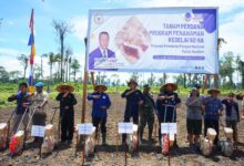 Keren ...! Ayep Zaki Gelar Tanam Perdana Program Penanaman Kedelai 50 Ha Di Papua