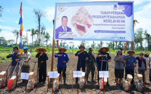 Keren … Ayep Zaki Gelar Tanam Perdana Program Penanaman Kedelai 50 Ha Di Papua