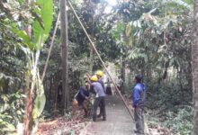 Kacau...!Pemasangan Tiang Listrik Pt Hsi Di Lebak Jadi Masalah