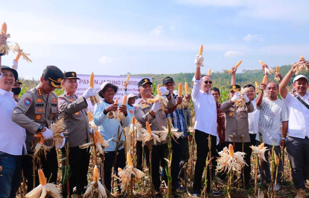 Ayep Zaki Laksanakan Panen Jagung Bersama Polri