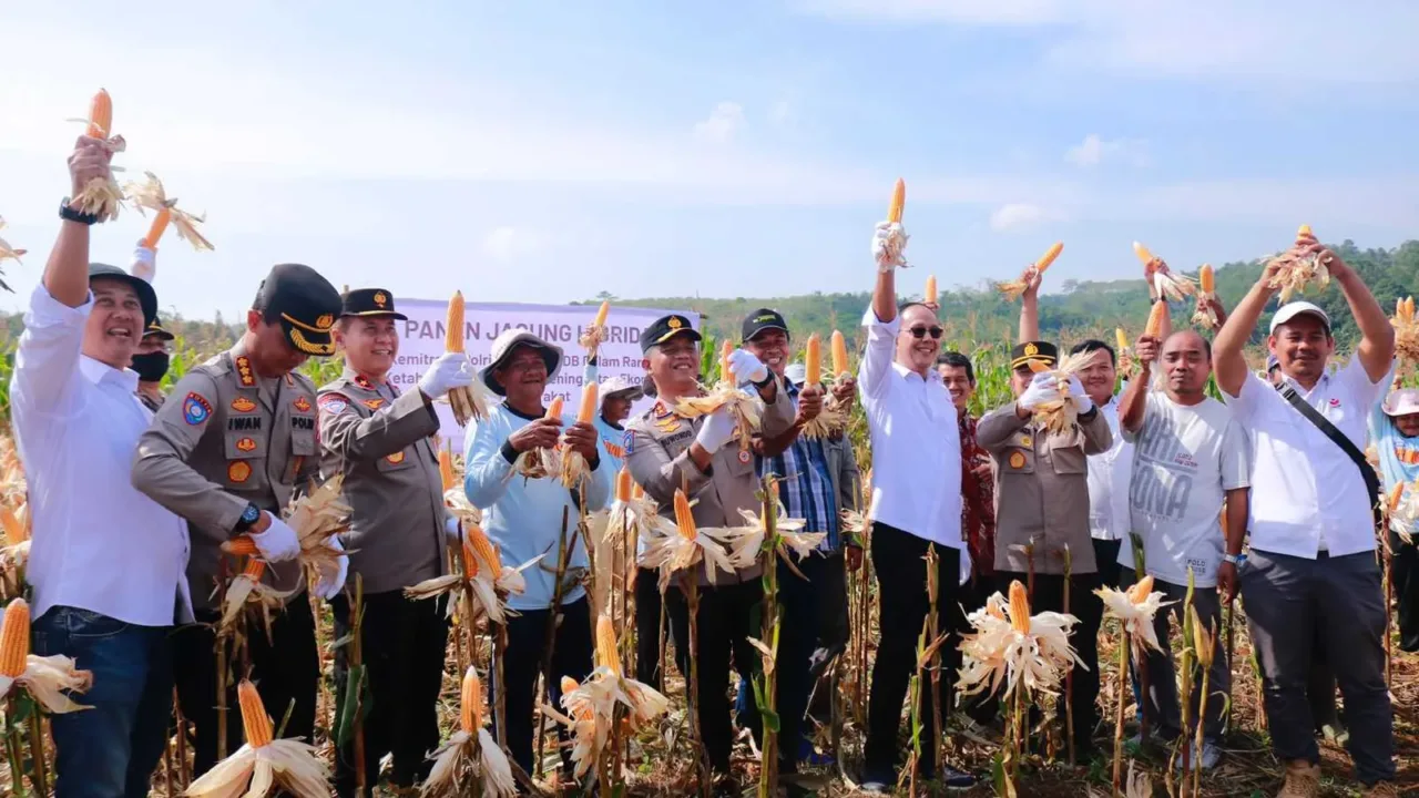 Ayep Zaki Laksanakan Panen Jagung Bersama Polri