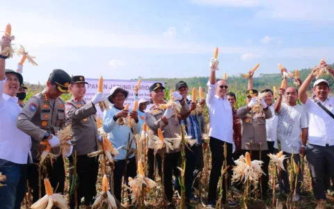 Ayep Zaki Laksanakan Panen Jagung Bersama Polri