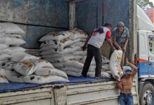 Bulog Lebak - Pandeglang Terus Serap Gabah Petani