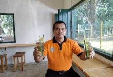 Pakar Dan Budayawan Dorong Brin Lahirkan Riset Unggul Berbasis Pancasila