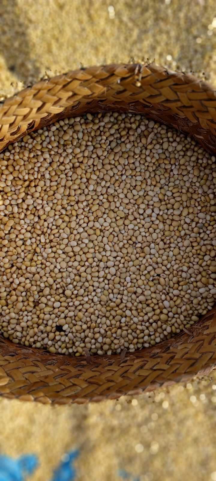 Ayep Zaki Tampung Hasil Panen Kedelai Petani Manggarai Barat Ntt