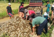 Puluhan Tahun Jalan Rusak...!!! Masyarakat Patungan Beli Batu Perbaiki Jalan