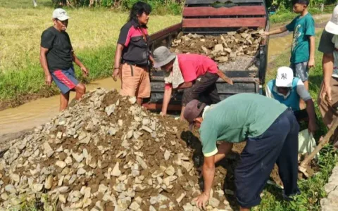 Puluhan tahun Jalan Rusak… Masyarakat Patungan Beli Batu Perbaiki Jalan
