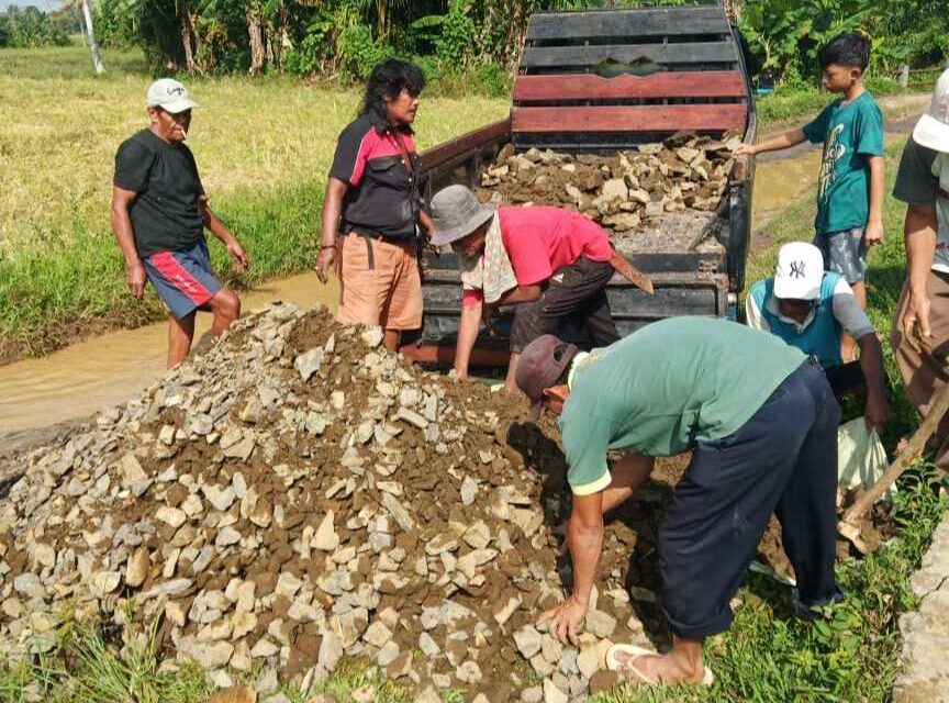 Puluhan Tahun Jalan Rusak...!!! Masyarakat Patungan Beli Batu Perbaiki Jalan