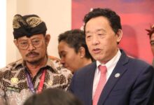 Swasembada Pangan Nasional Saat Pandemi, Fao: Indonesia Berhasil Ciptakan Sejarah