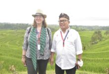 Mantap..! Kementan Perkenalkan Praktik Pertanian Berkelanjutan Ke Delegasi Amm G20