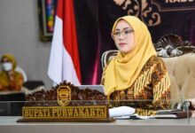 Profil Bupati Purwakarta Yang Menggugat Cerai Dedi Mulyadi