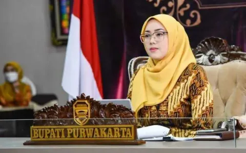 Profil Bupati Purwakarta yang Menggugat Cerai Dedi Mulyadi