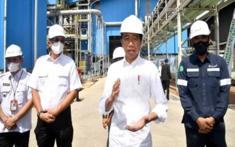 Tinjau Smelter Baru PT Timah, Presiden: Bukti Keseriusan Kita dalam Hilirisasi