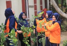 Ikatan Adhyaksa Dharmakarini Kota Malang Tanam Obat Keluarga