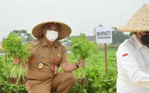 WOW! Puskagro di Sepatan Menjadi Sentra Penampung Produk Hasil Bumi dan Pertanian