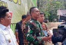 Luar Biasa...!Gubernur Kaltim Puji Penanaman Pohon Di Bukit Soeharto