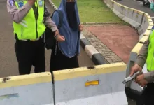 Seorang Perempuan Ditangkap Polisi Bawa Senjata Api ke Istana