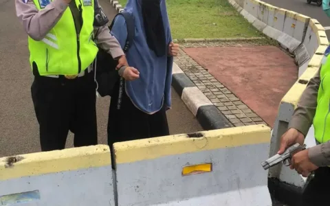 Seorang Perempuan Ditangkap Polisi Bawa Senjata Api ke Istana