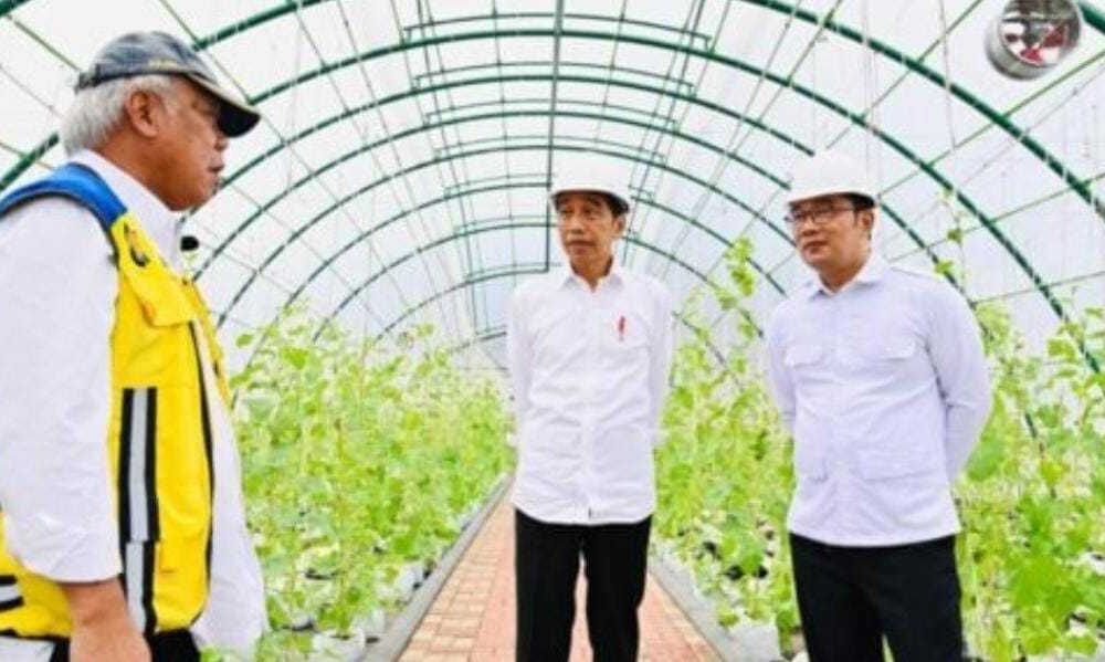 Jokowi Beri Sinyal Reshuffle Kabinet, Berikut Namanya