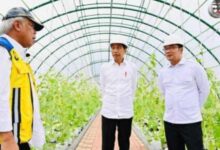 Jokowi Beri Sinyal Reshuffle Kabinet, Berikut Namanya