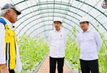 Jokowi Beri Sinyal Reshuffle Kabinet, Berikut Namanya