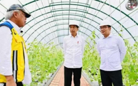 Jokowi Beri Sinyal Reshuffle Kabinet, Berikut Namanya