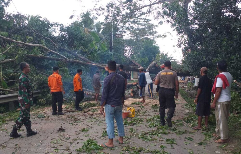 Sigap, Personel Polsek Cikeusal Polres Serang Bantu Evakuasi Pohon Tumbang.