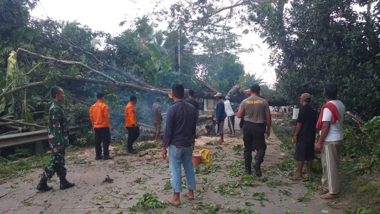 Sigap, Personel Polsek Cikeusal Polres Serang Bantu Evakuasi Pohon Tumbang.