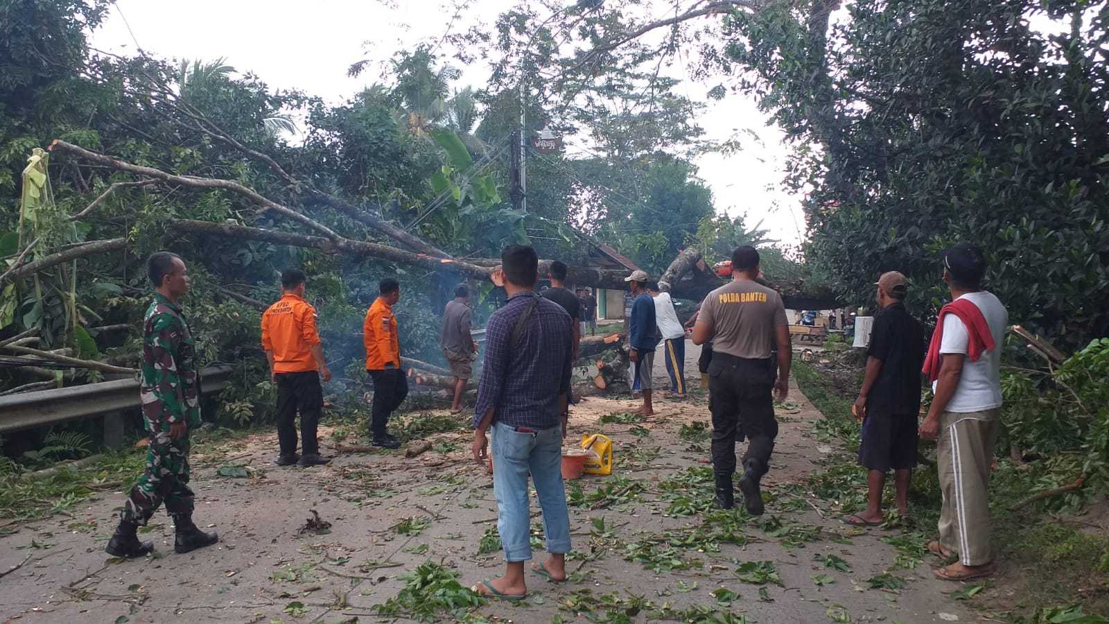 Sigap, Personel Polsek Cikeusal Polres Serang Bantu Evakuasi Pohon Tumbang.