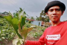 Pecat...!Kornas Jokowi Desak Kanwil Bpn Jawa Barat Dan Sukabumi Dicopot