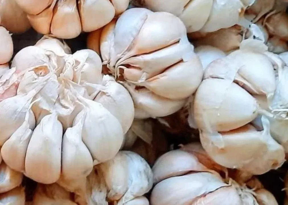 8 Manfaat Bawang Putih Bagi Tubuh