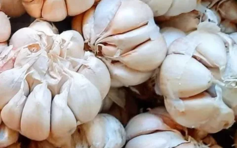 8 Manfaat Bawang Putih Bagi Tubuh