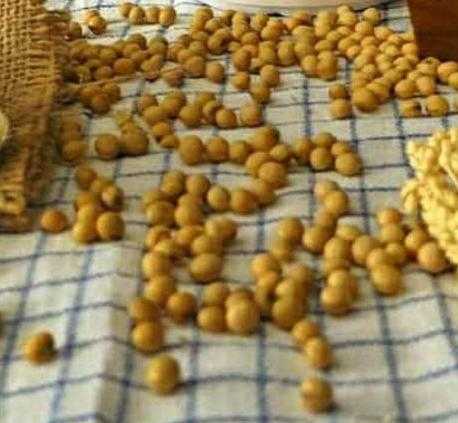 Manfaat Kacang Kedelai Untuk Tubuh