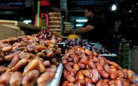 Berikut Daftrar Lima Kurma Termahal di Dunia