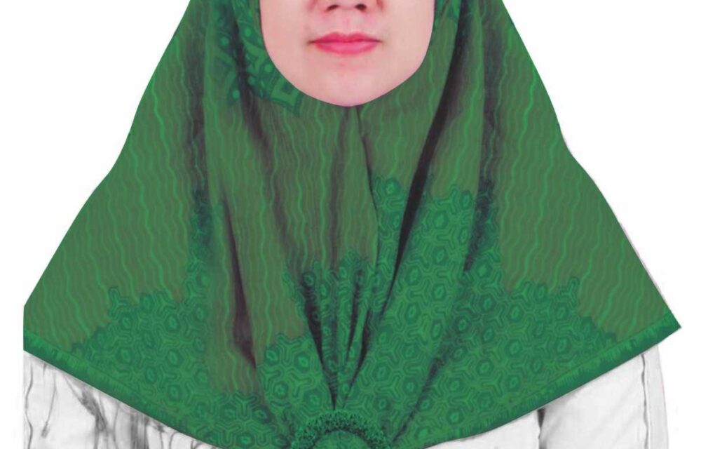 Dongkrak Perolehan Kursi Parlemen, Pkb Majalengka Usung Upik Rofiqoh Sebagai Caleg Dprd Jawa Barat