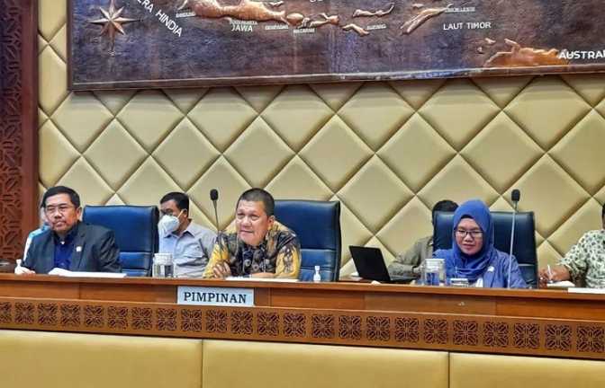 Dpr Sebut Ikn Berpotensi Jadikan Kalsel Lumbung Pangan Nasional