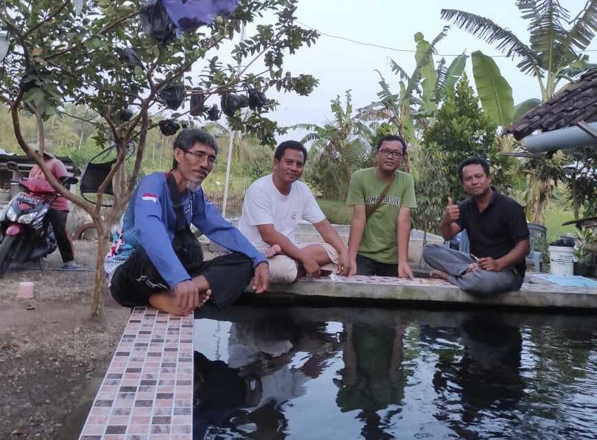Berikut Sosok Ketua Komunitas Ikan Hias Lombok Timur